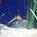 IMG_6305.JPG