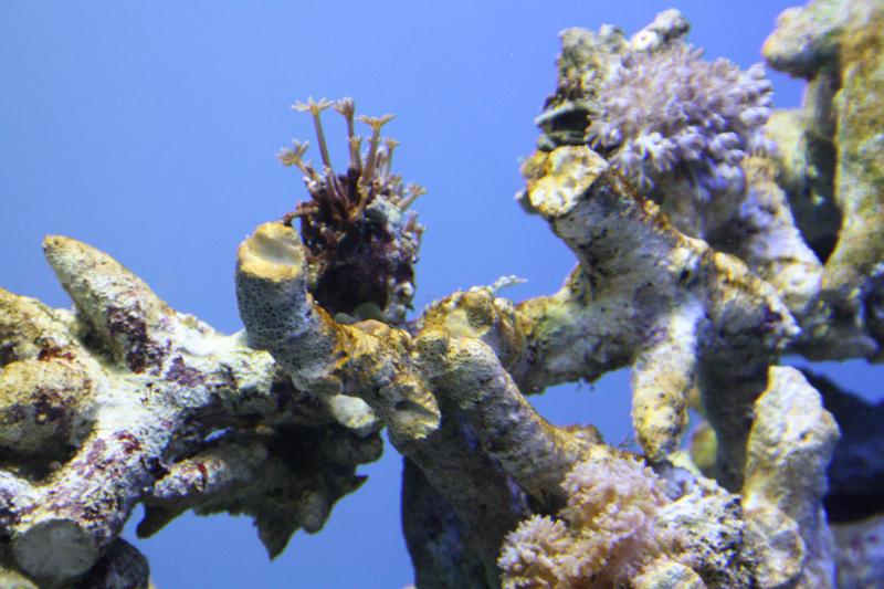 IMG_6308.JPG