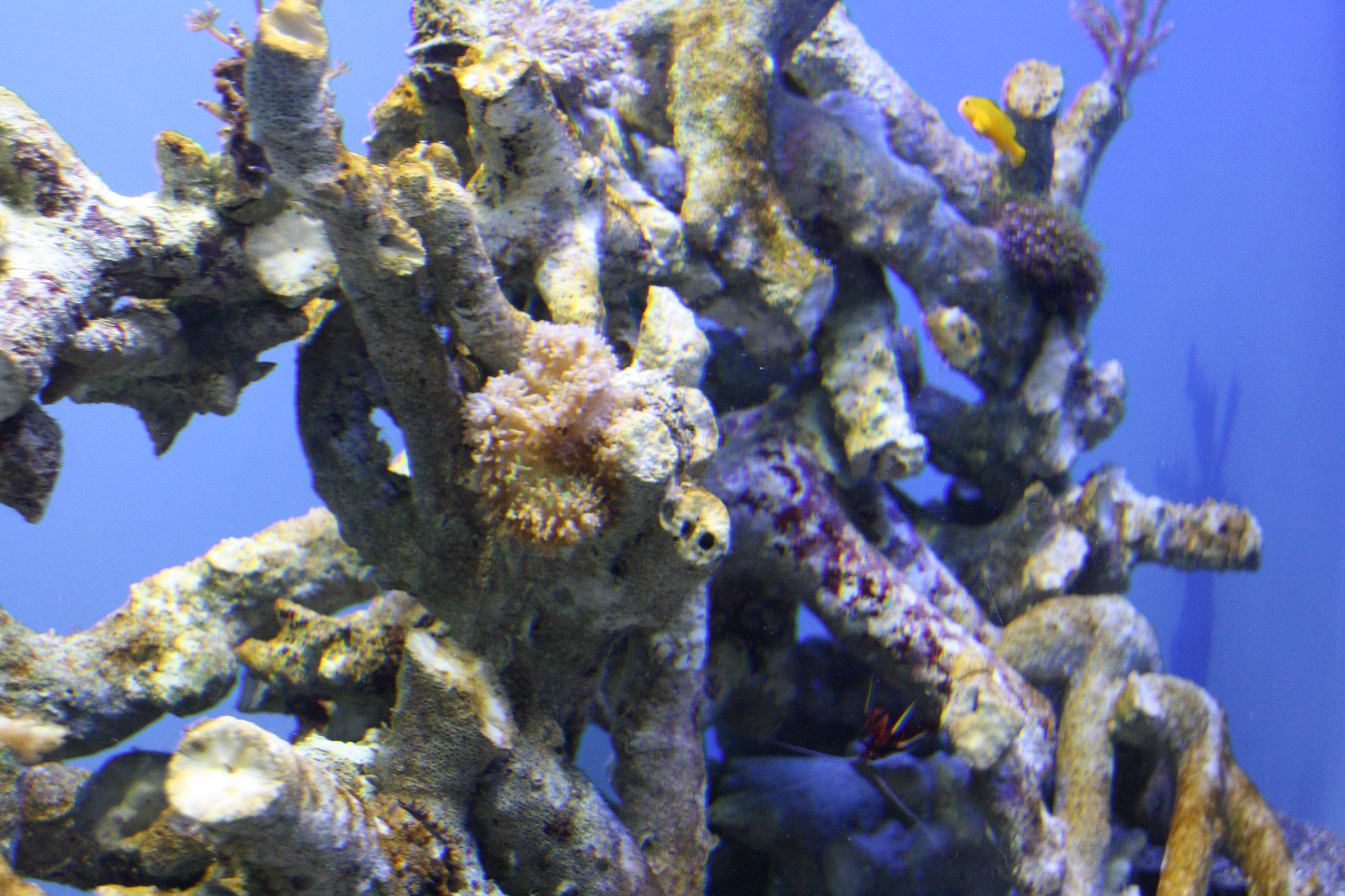 IMG_6309.JPG