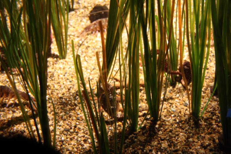 IMG_6311.JPG