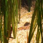 IMG_6314.JPG