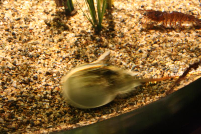 IMG_6315.JPG
