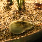 IMG_6315.JPG