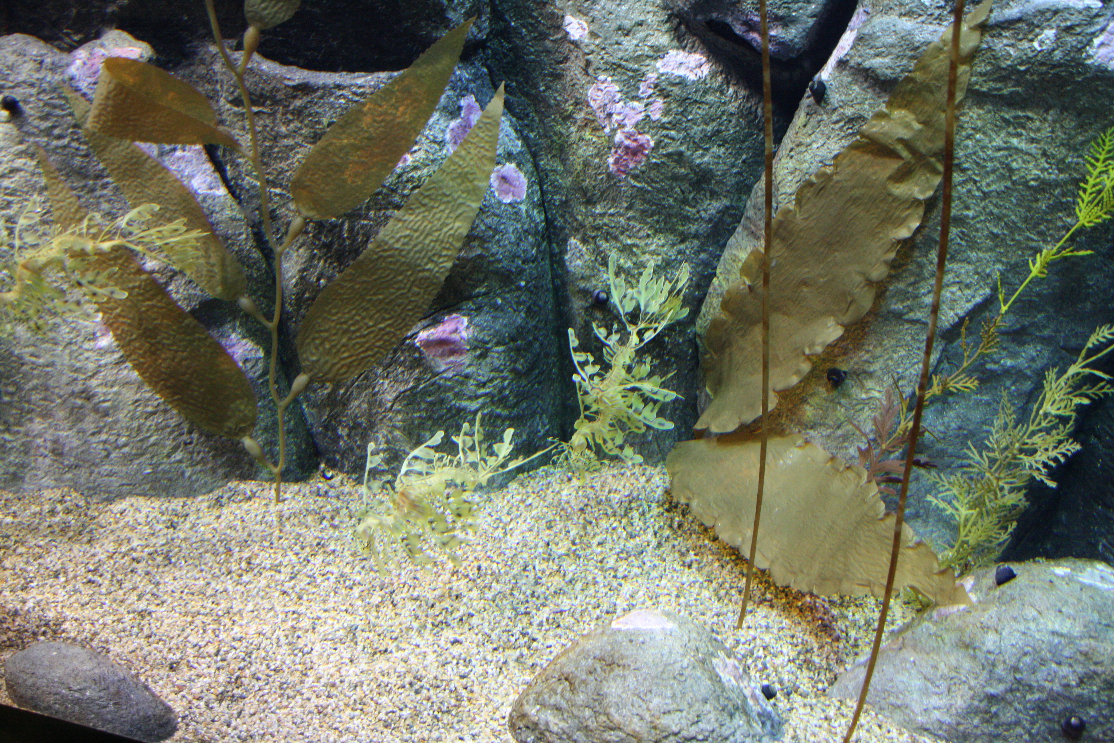 IMG_6317.JPG