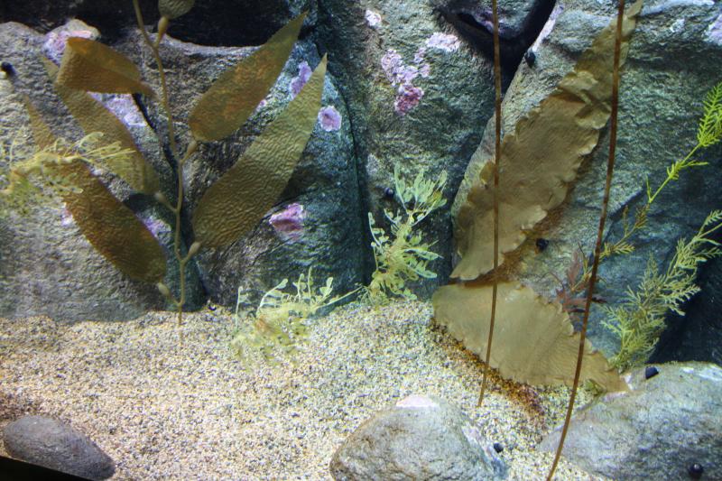 IMG_6317.JPG