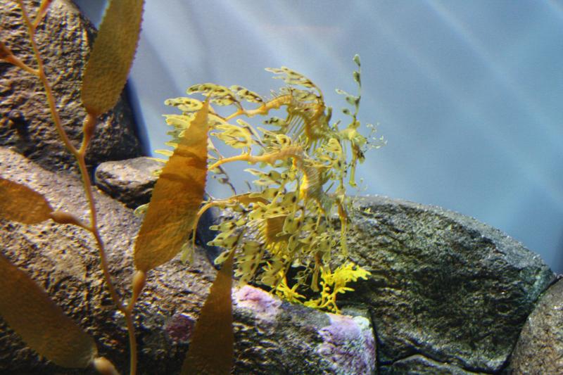 IMG_6318.JPG