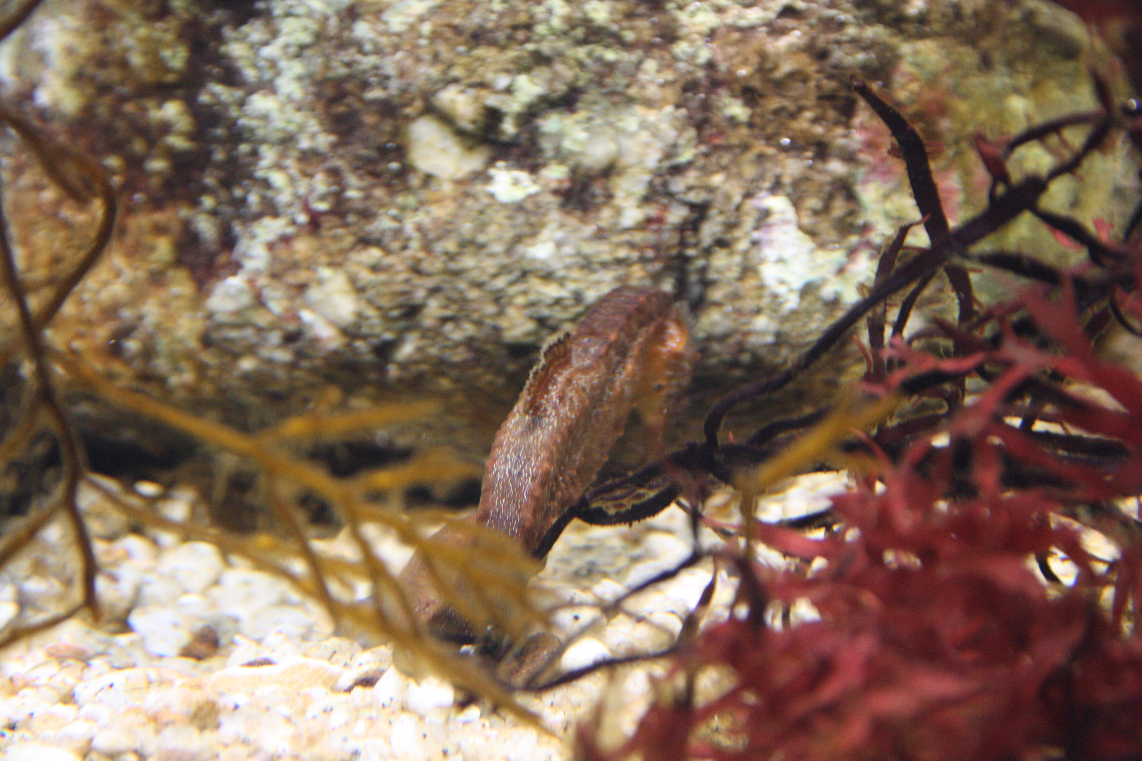 IMG_6320.JPG