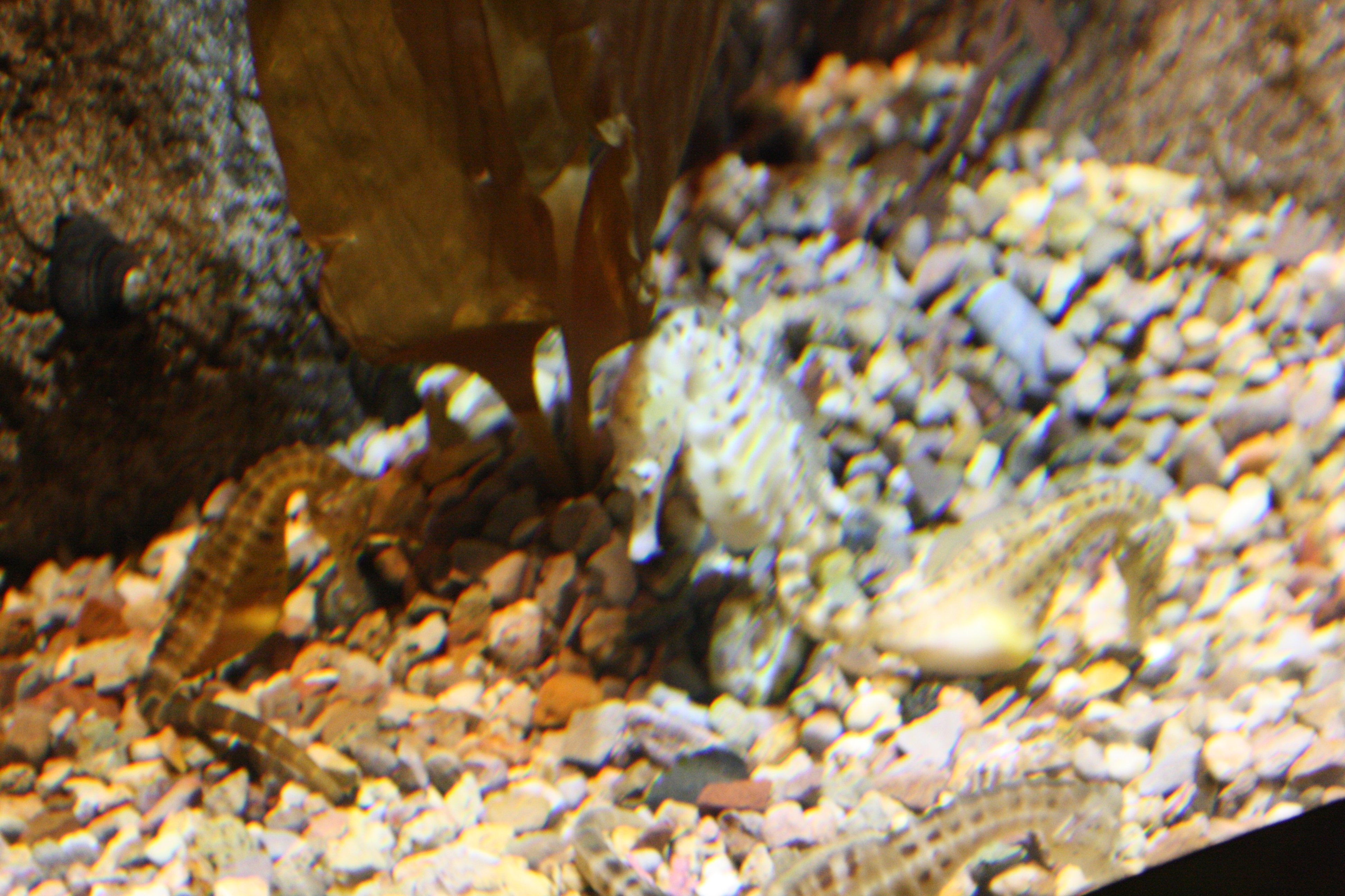 IMG_6325.JPG