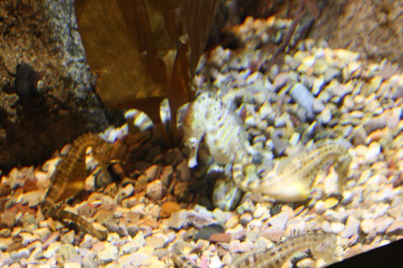 IMG_6325.JPG