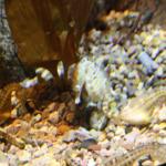 IMG_6325.JPG