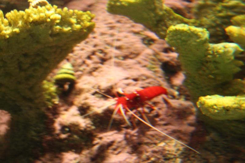 IMG_6326.JPG
