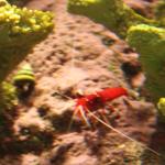 IMG_6326.JPG
