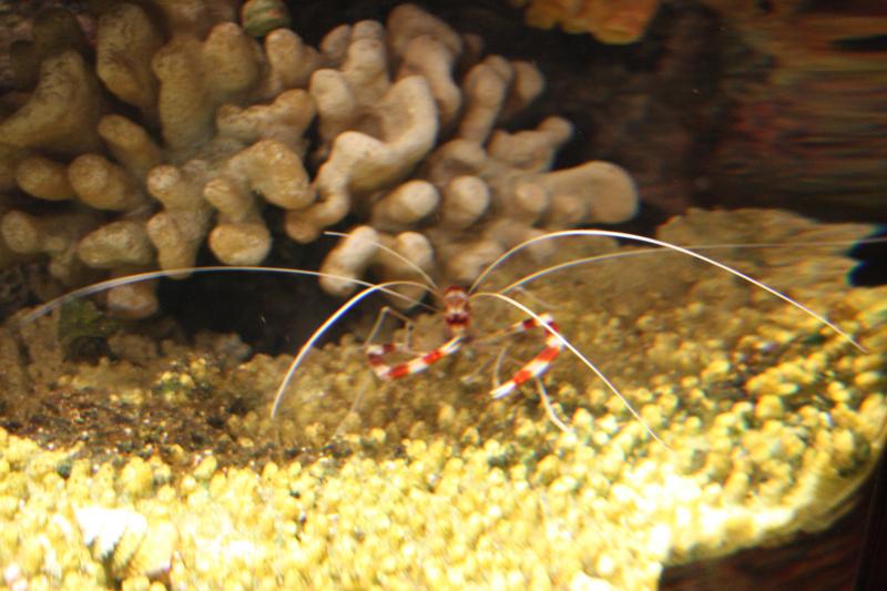 IMG_6327.JPG