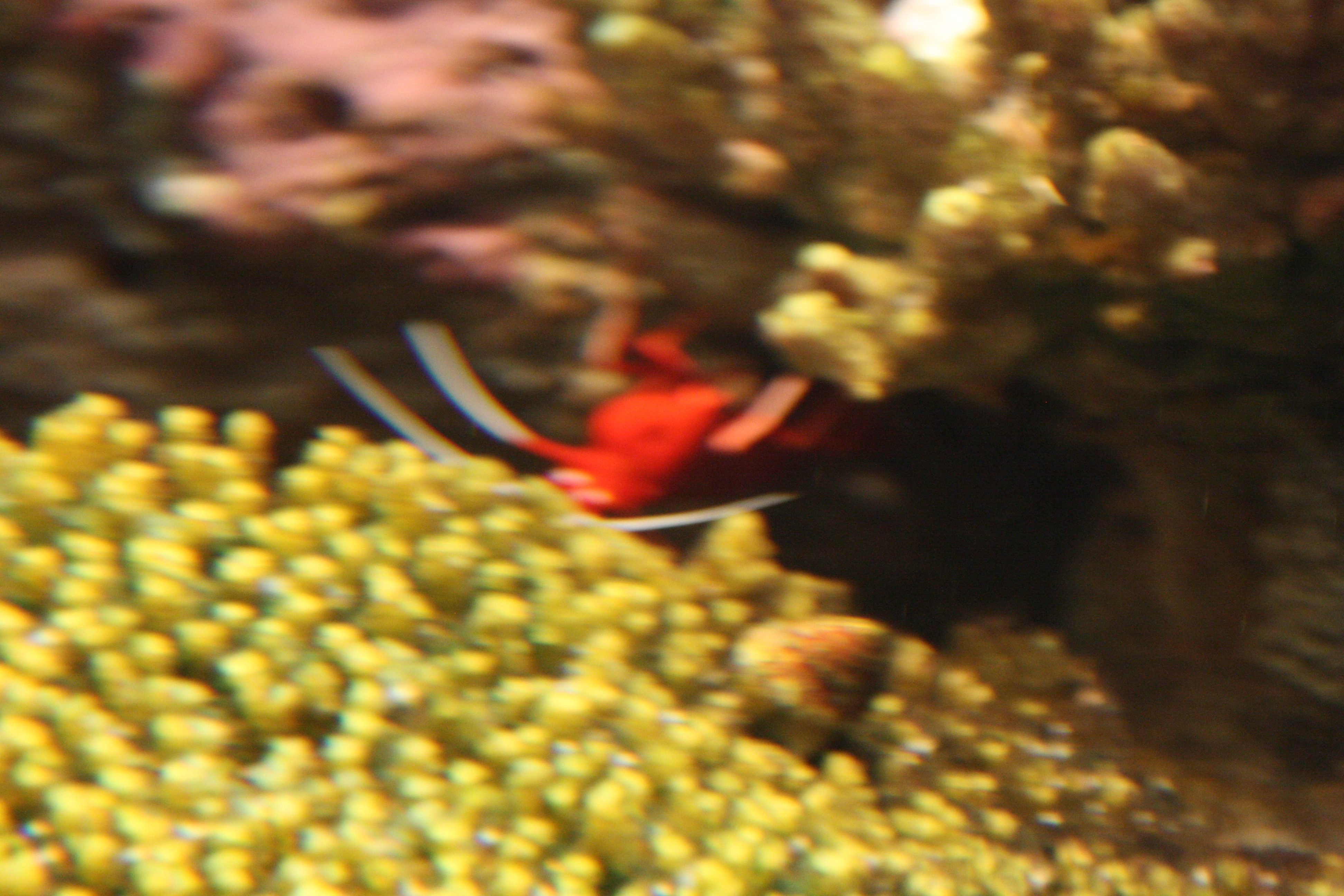 IMG_6328.JPG