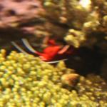 IMG_6328.JPG