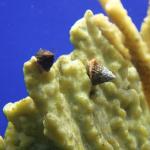 IMG_6331.JPG