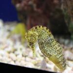 IMG_6334.JPG