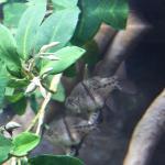 IMG_6335.JPG