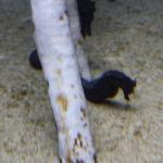 IMG_6337.JPG
