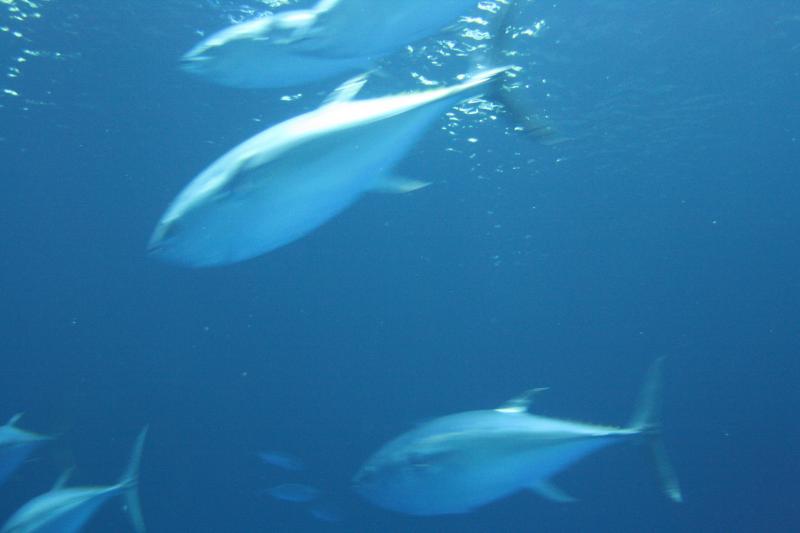 IMG_6344.JPG