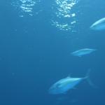 IMG_6345.JPG