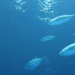 IMG_6346.JPG