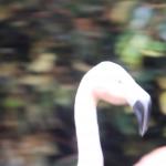 IMG_6350.JPG