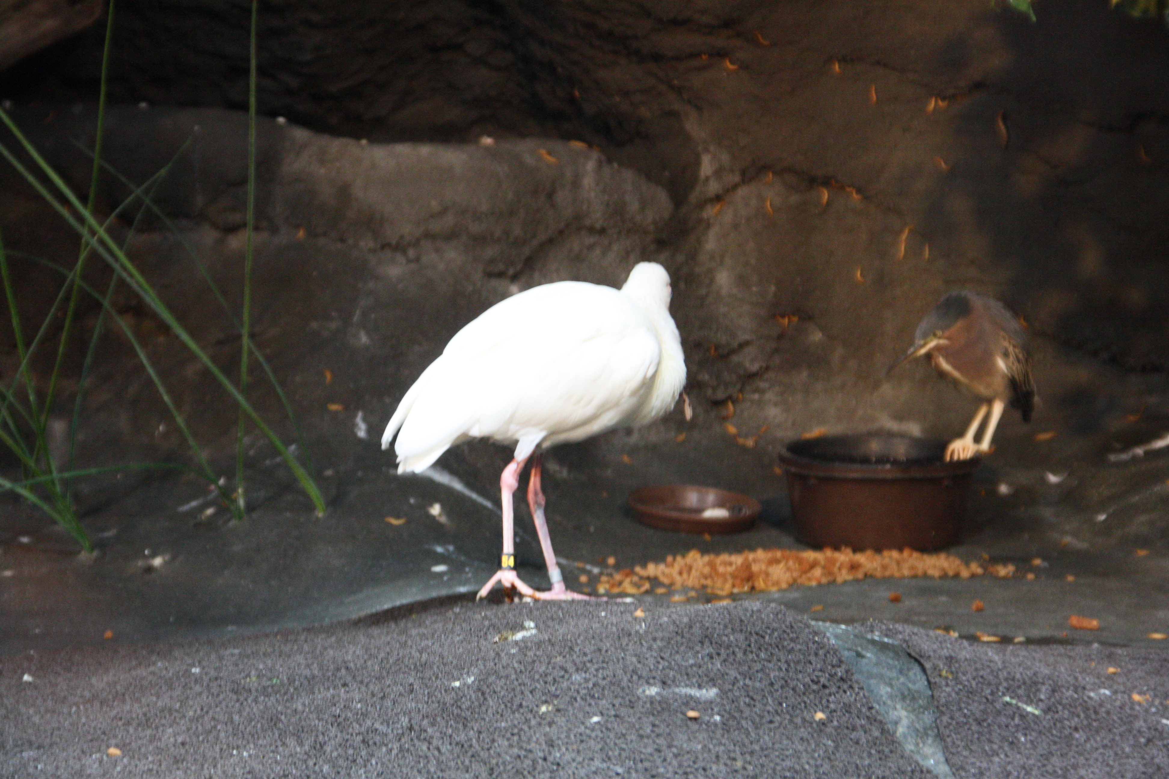 IMG_6351.JPG