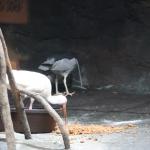 IMG_6352.JPG