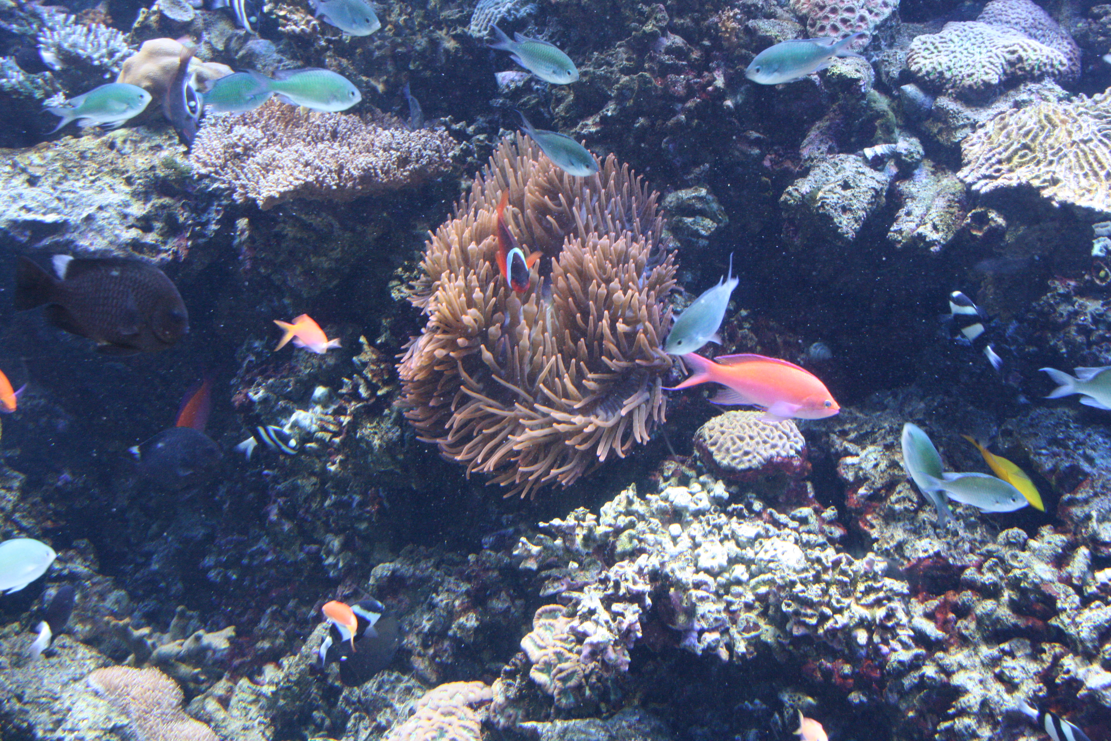 IMG_6357.JPG