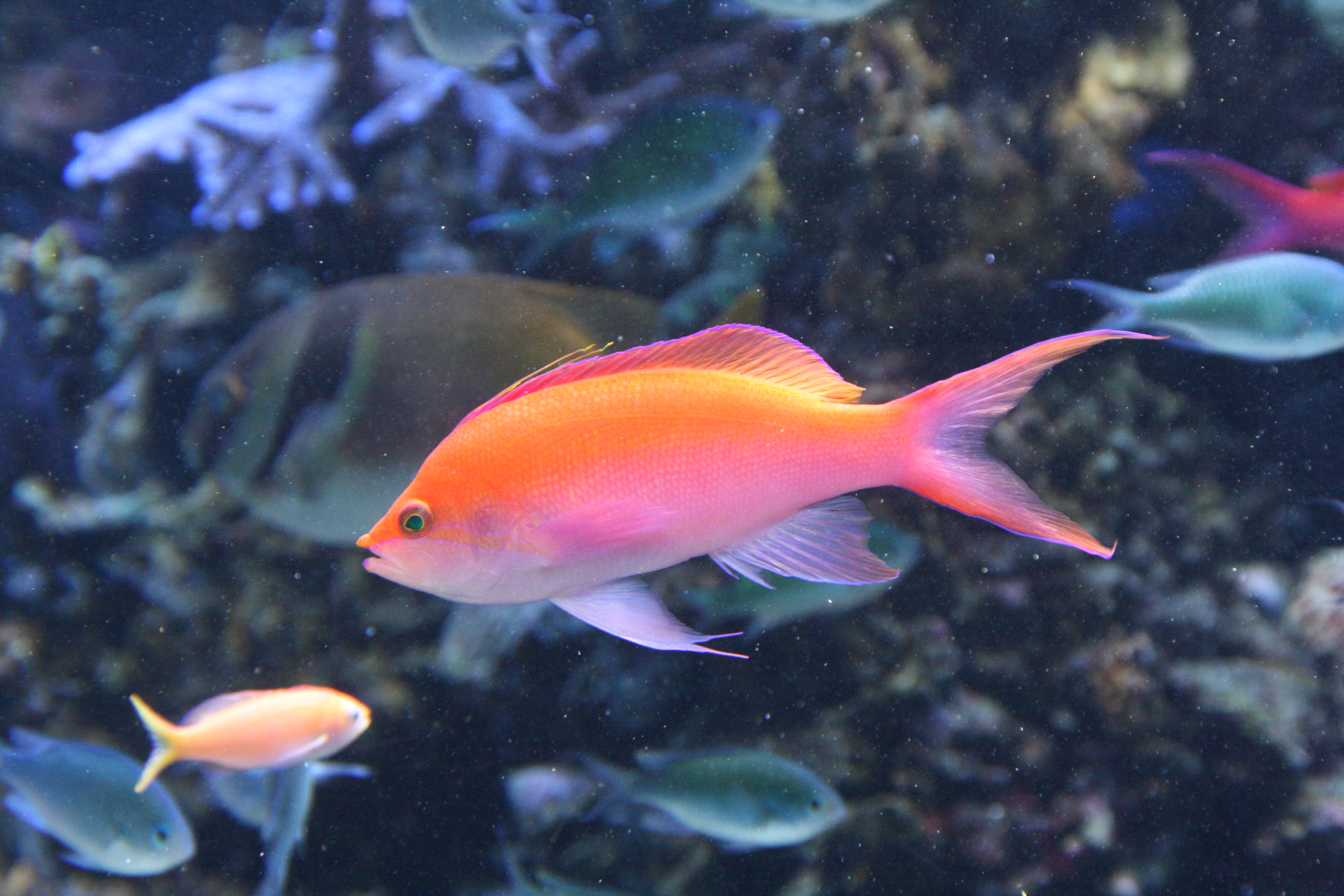 IMG_6358.JPG