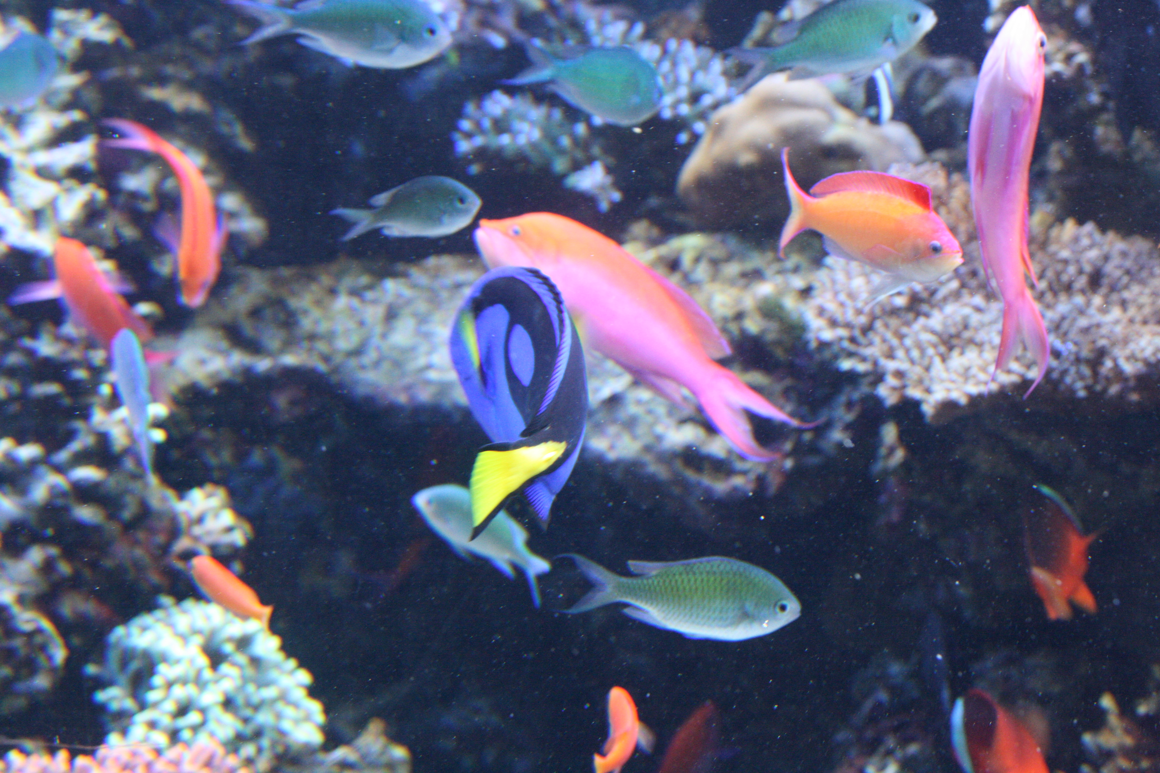 IMG_6361.JPG