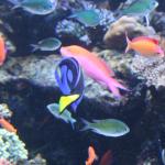 IMG_6361.JPG