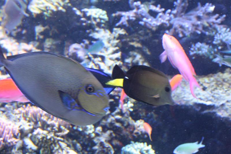 IMG_6362.JPG