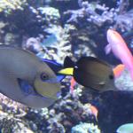 IMG_6362.JPG