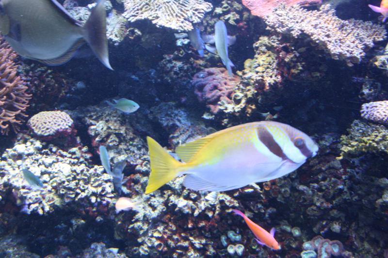 IMG_6364.JPG