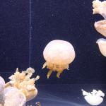 IMG_6368.JPG