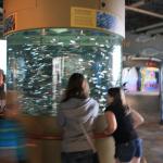 IMG_6380.JPG