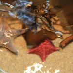 IMG_6384.JPG