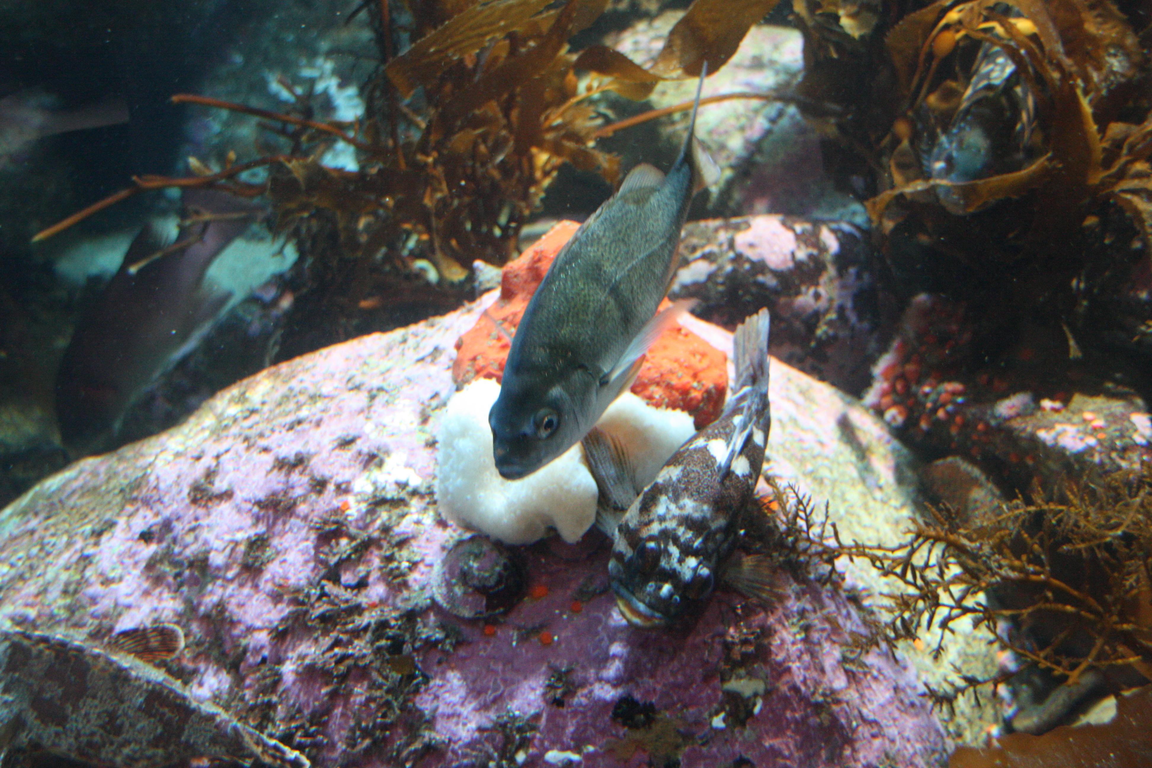 IMG_6400.JPG