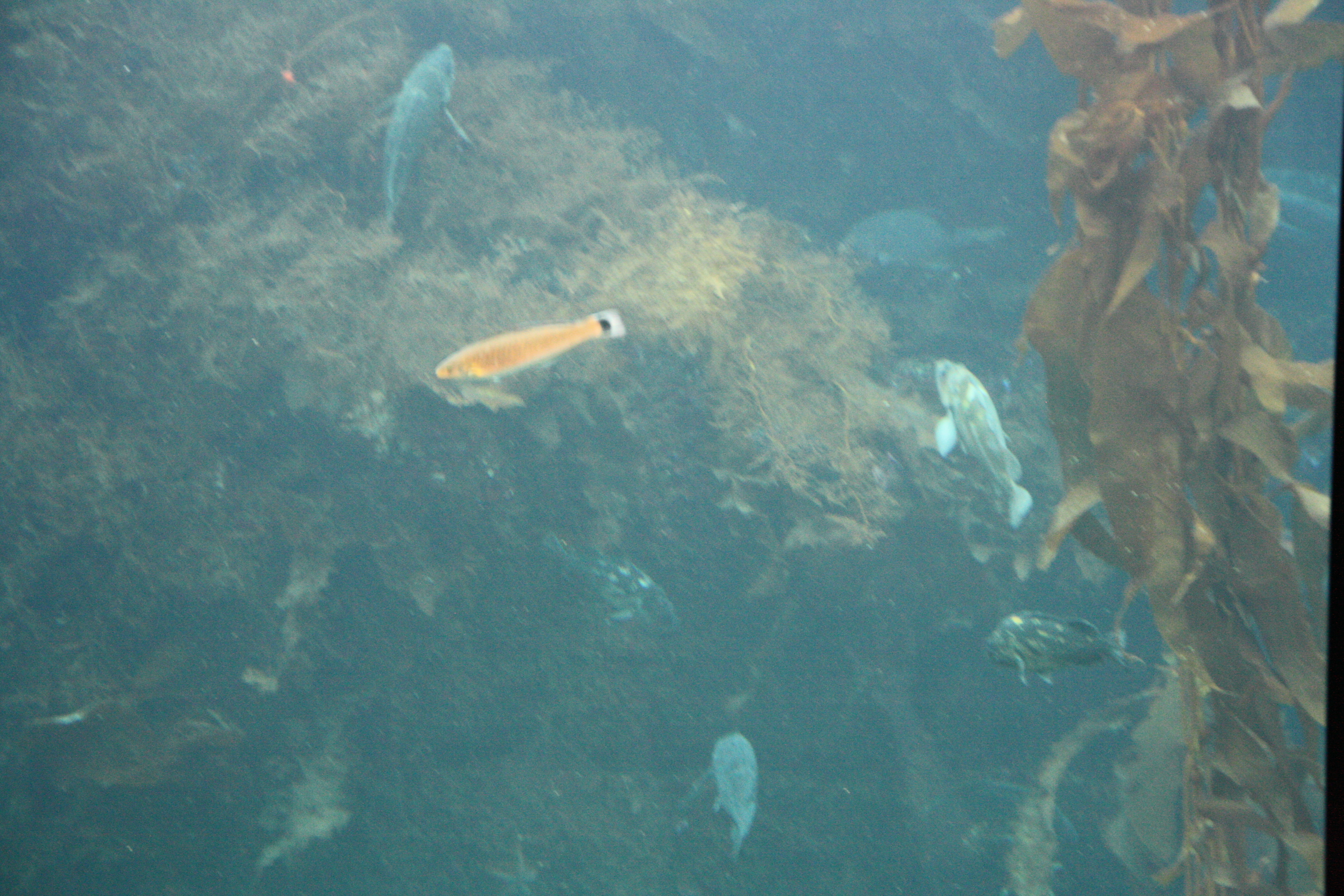 IMG_6410.JPG