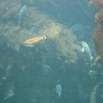 IMG_6410.JPG