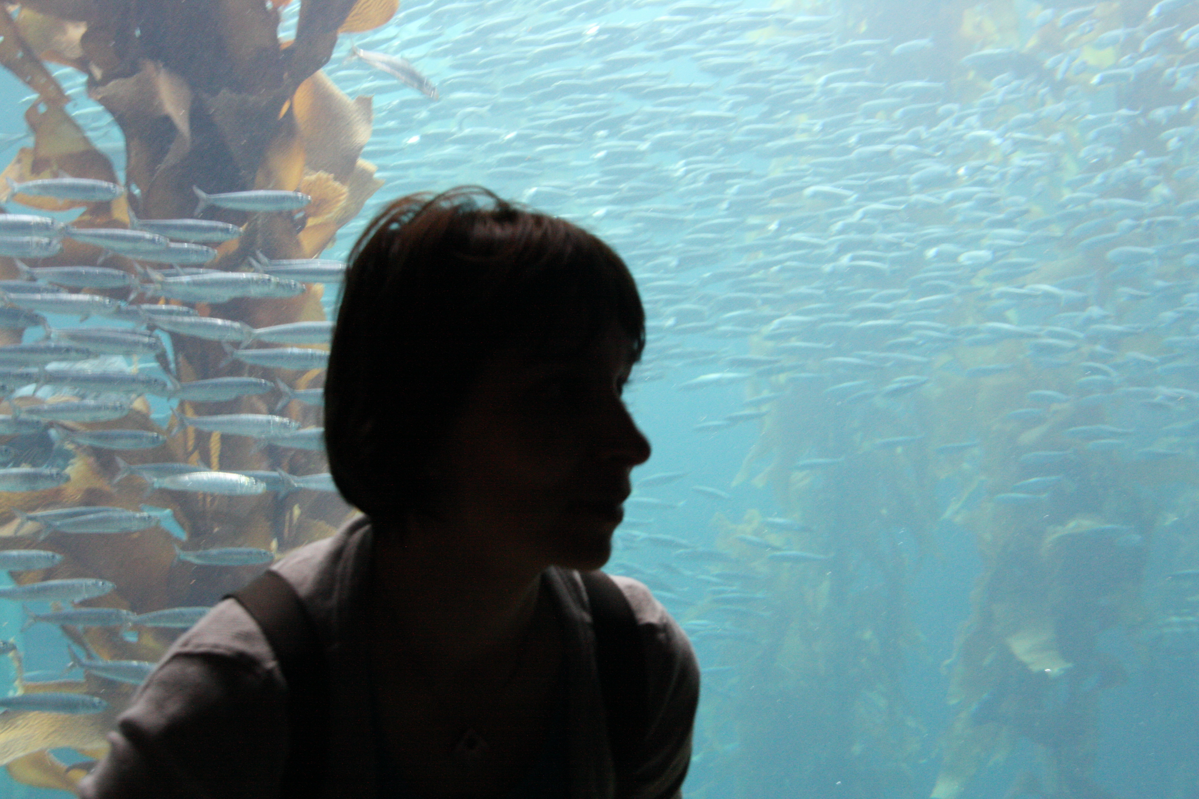 IMG_6416.JPG