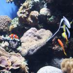 IMG_6421.JPG