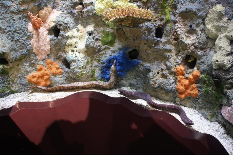 IMG_6427.JPG