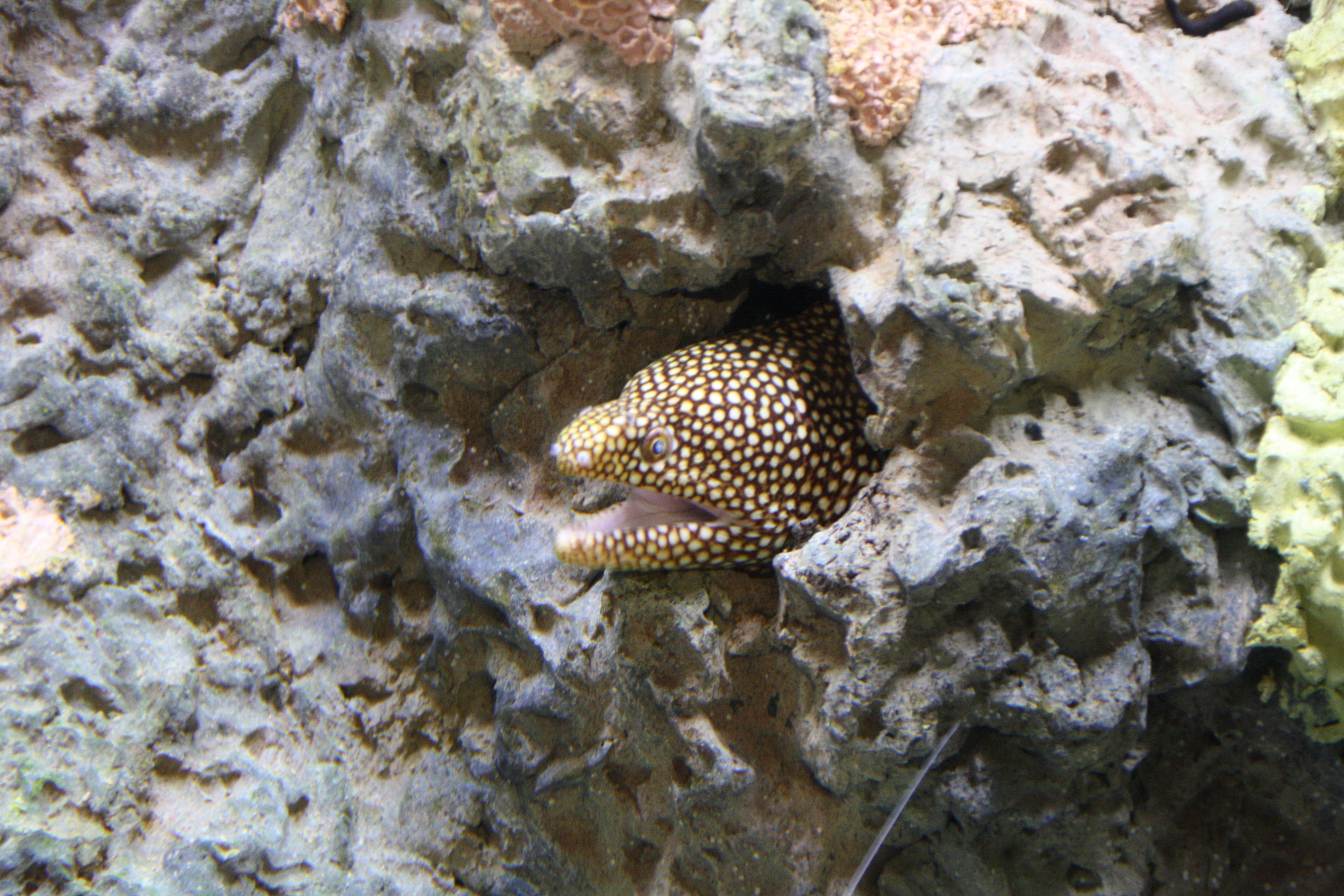 IMG_6428.JPG