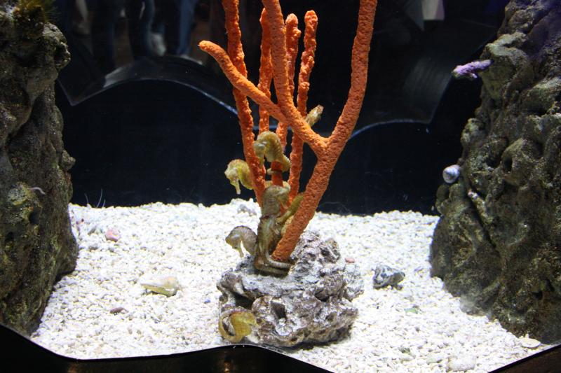 IMG_6434.JPG