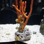 IMG_6434.JPG