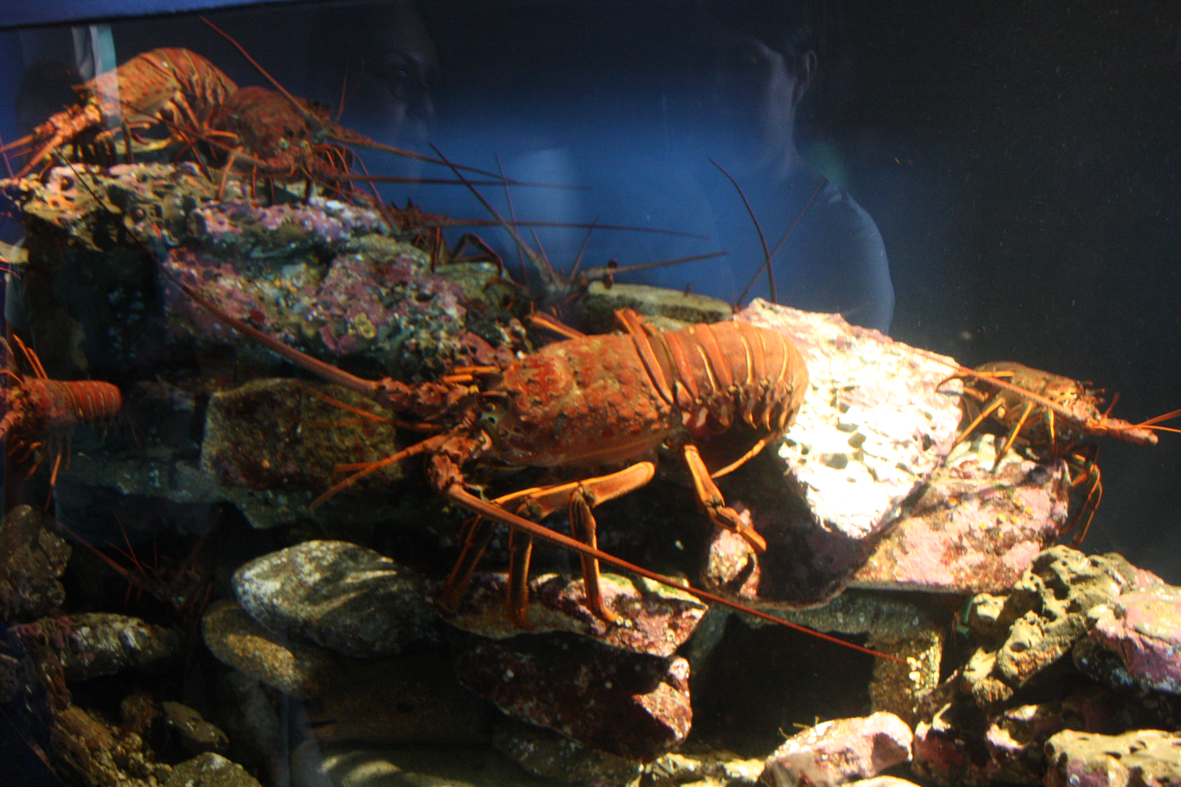 IMG_6443.JPG
