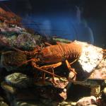 IMG_6443.JPG